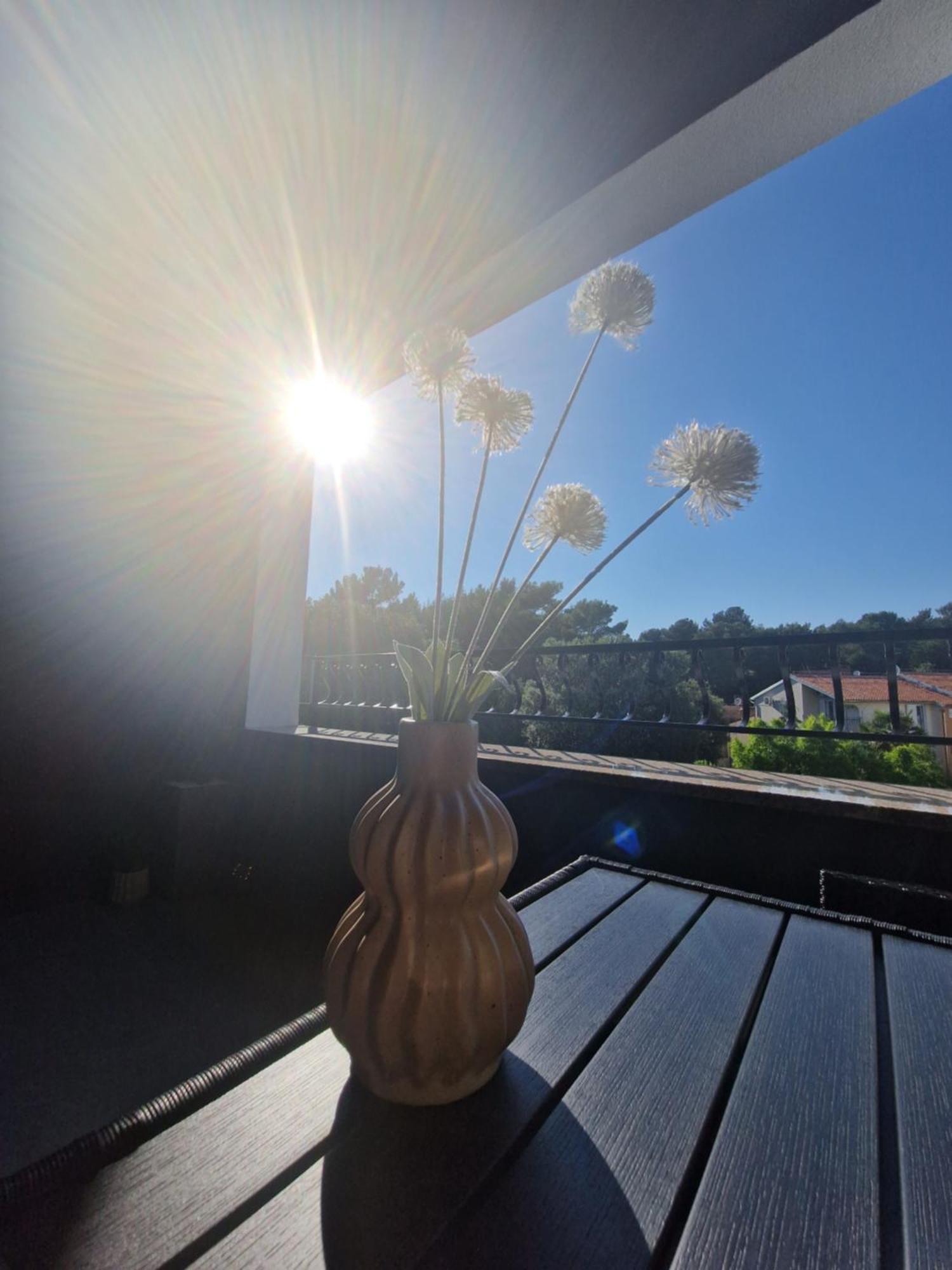 Apartments Jasna Rovinj Rom bilde